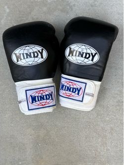 Boxing gloves: Windy 14 oz Black