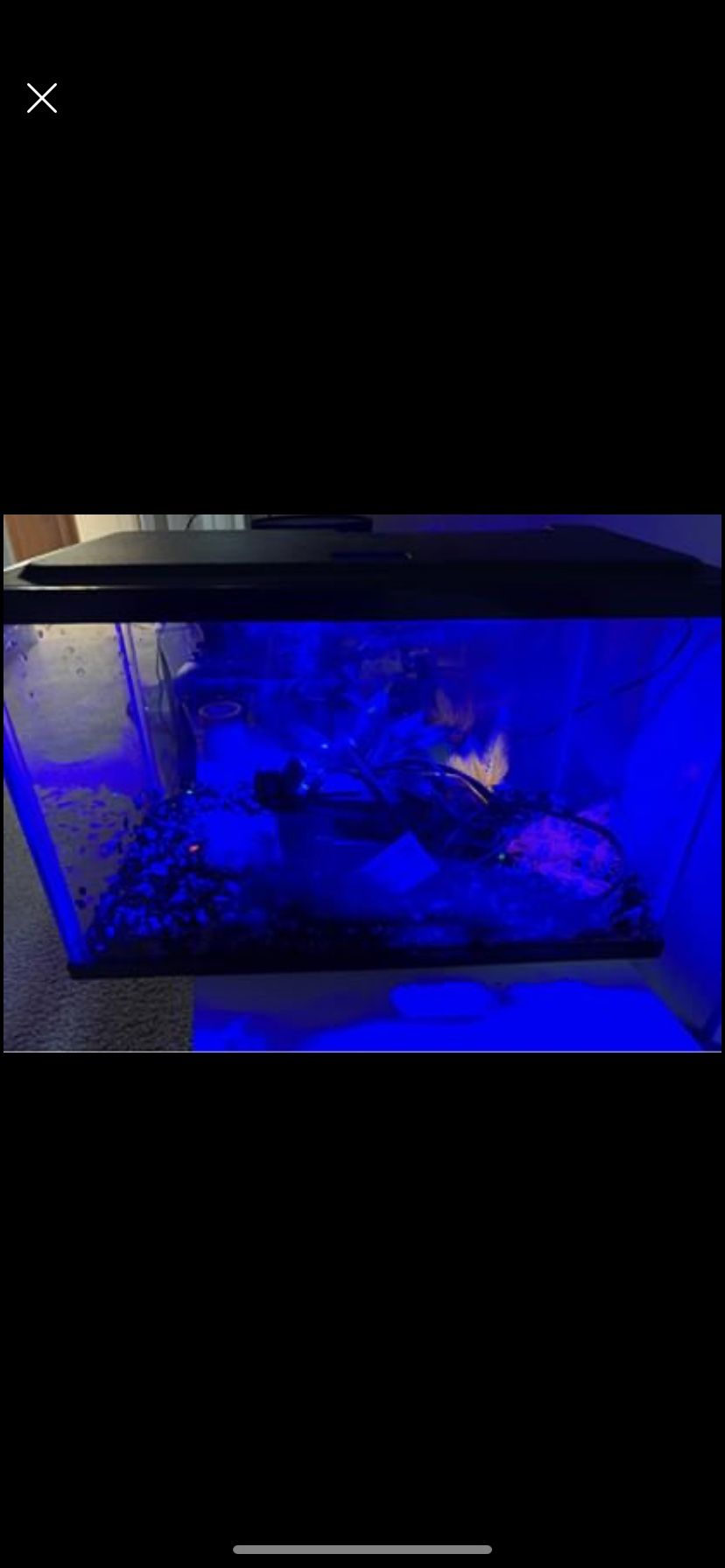 5 gallon fish tank with black light