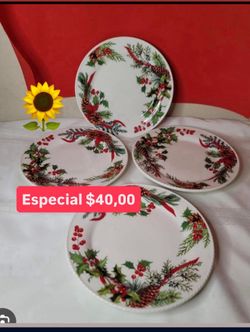 Set de 4 Plato’s Medianos Especial $40.00 Línea Marbella Princess House Ventas Finales