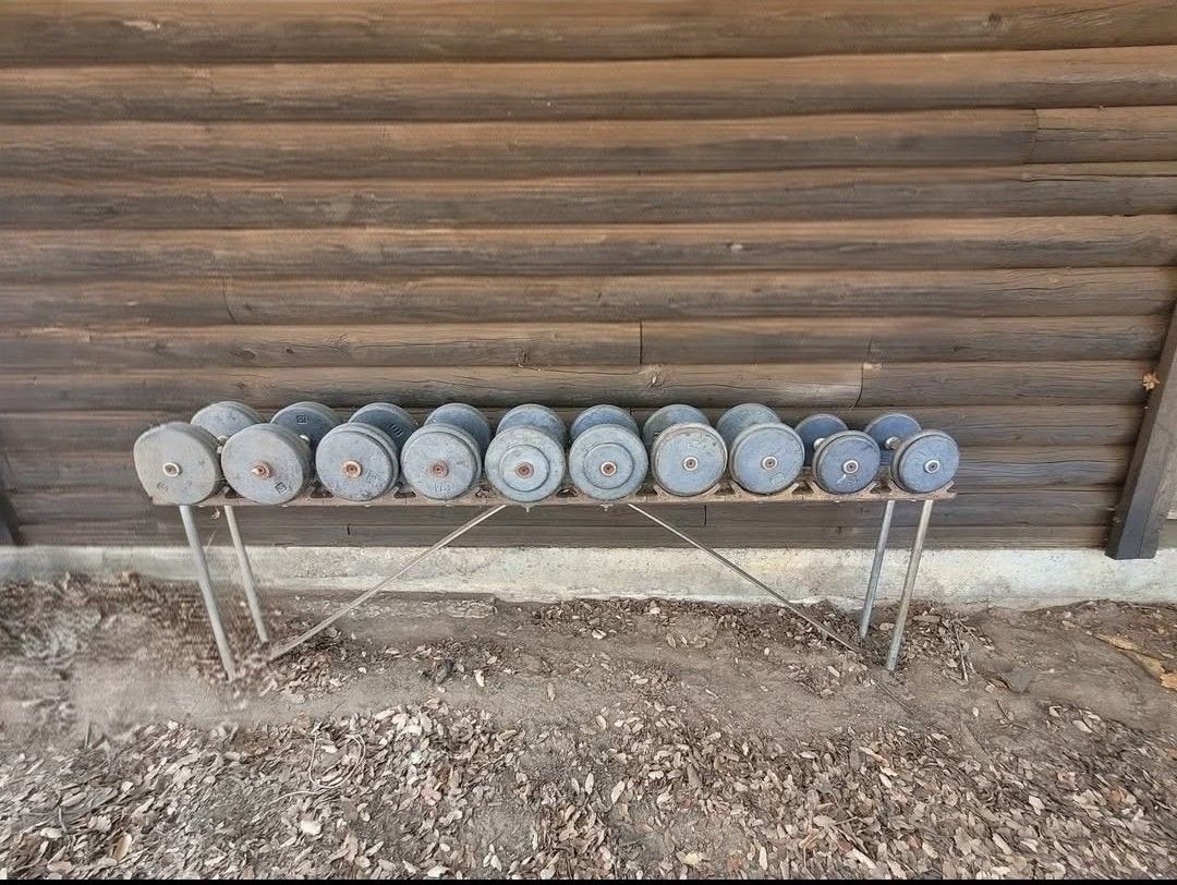 440lbs Prostyle Dumbbells 25-60lb With Dumbbell Rack
