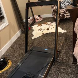 Rose Gold Treadmill 