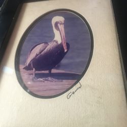 Vintage Barry gamow pelican dock harbor ocean photo print