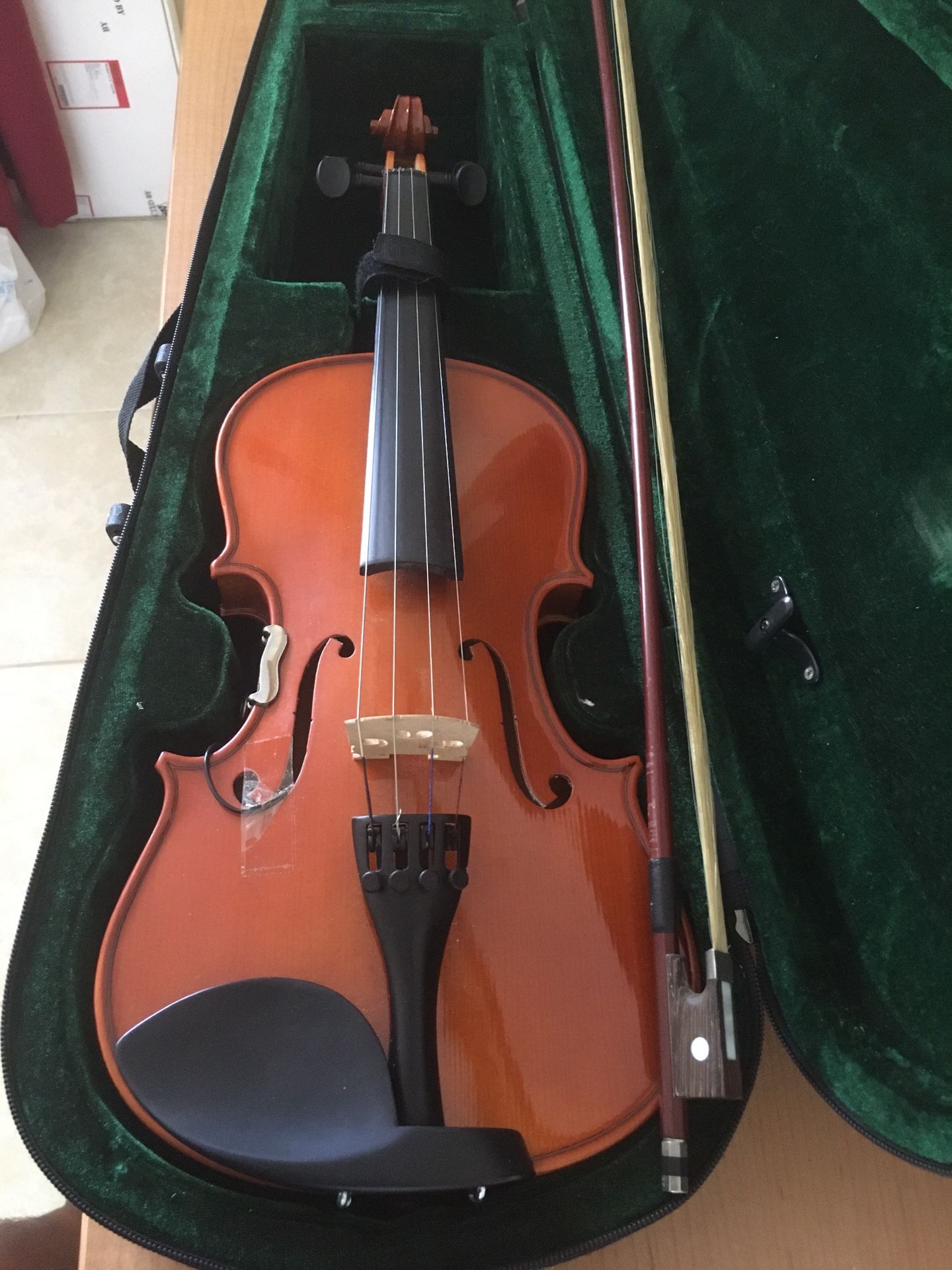 Violin with case and microphone pickup