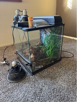 Glass Reptile Terrarium Tank with Accessories
