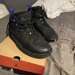 Jordan 12 Dark Concord 8M