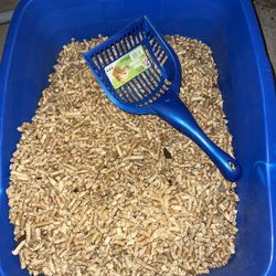 cat litter kit