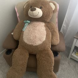Teddy bear
