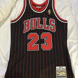 Mitchell N Ness Jordan Jersey