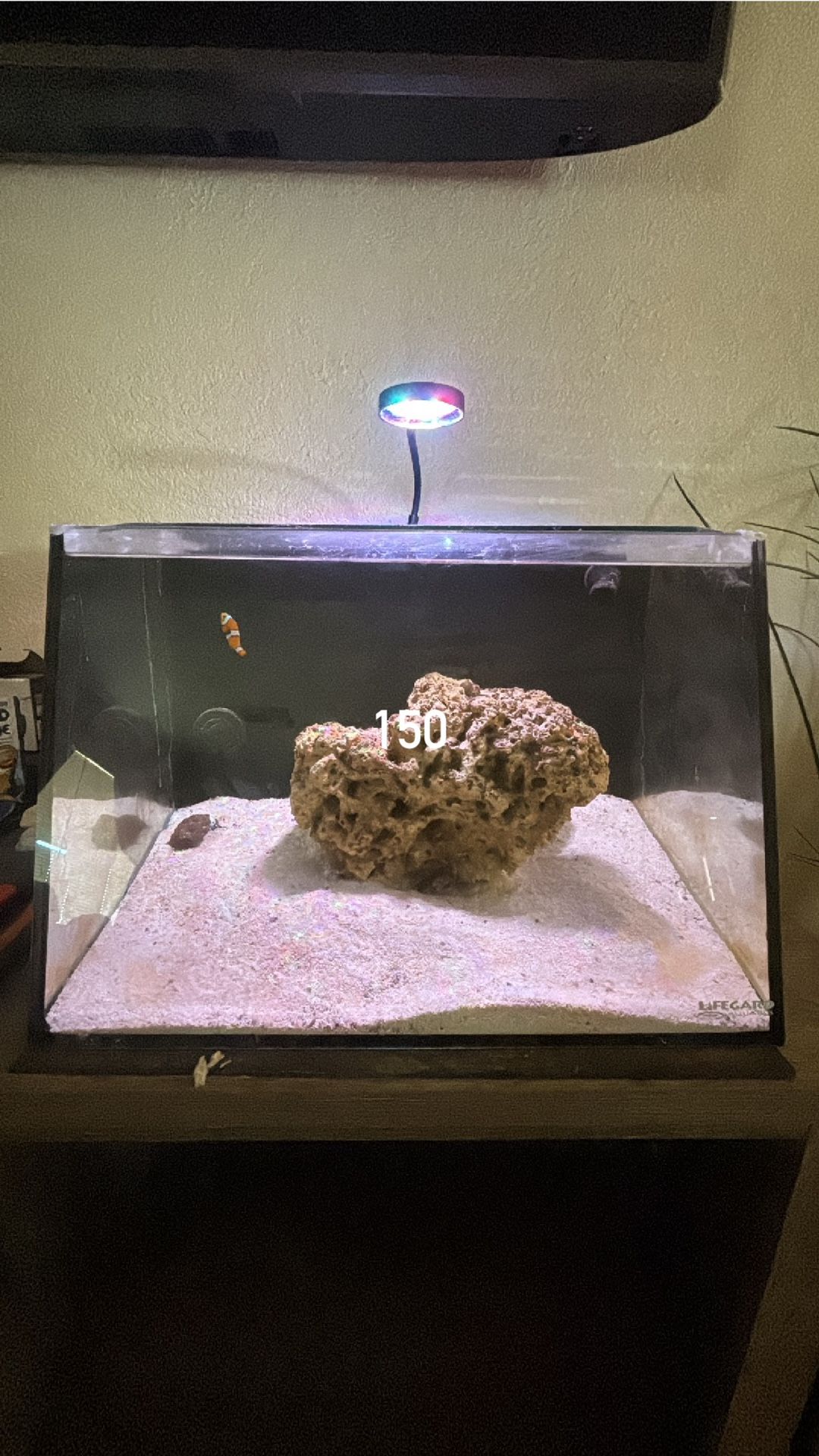 All In One Aquarium Small Reef