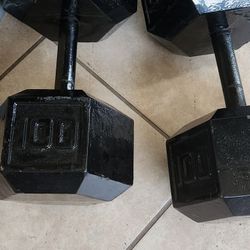 100 Lbs Dumbbells 