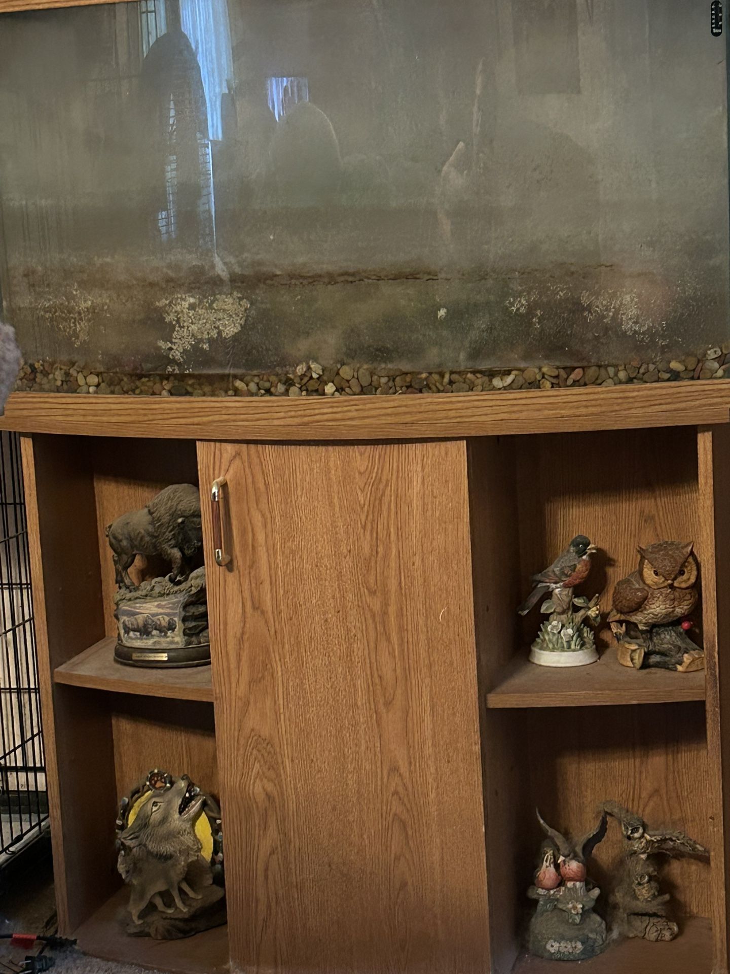Fish Tank