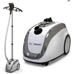 Pur Steam Steamer