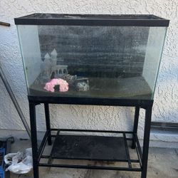 Fish Tank With Stand And Decor And Pumps With Filters 