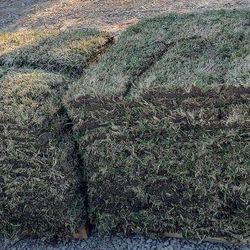 Grass Sod For Sale