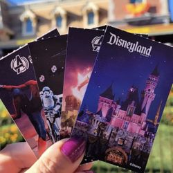 Buying Disneyland Tickets 🎢