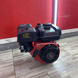 Pressure Washer Engine 