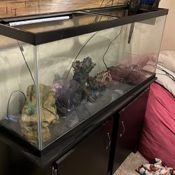 55 gallon tanks/stand