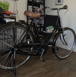 Vintage Flying Pigeon