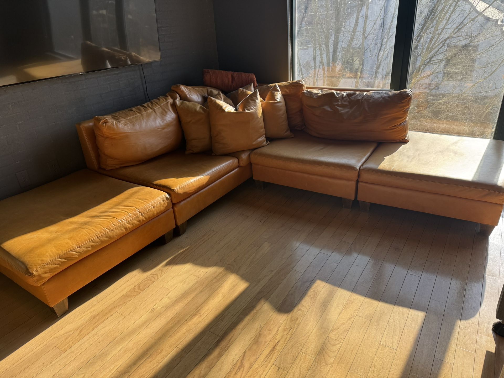 Sectional Leather Couch