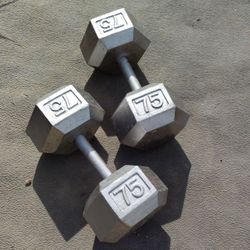75lb Hex Dumbbells 