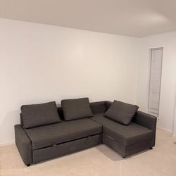IKEA Couch and Sleeper Sectional