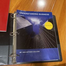 Understanding Business