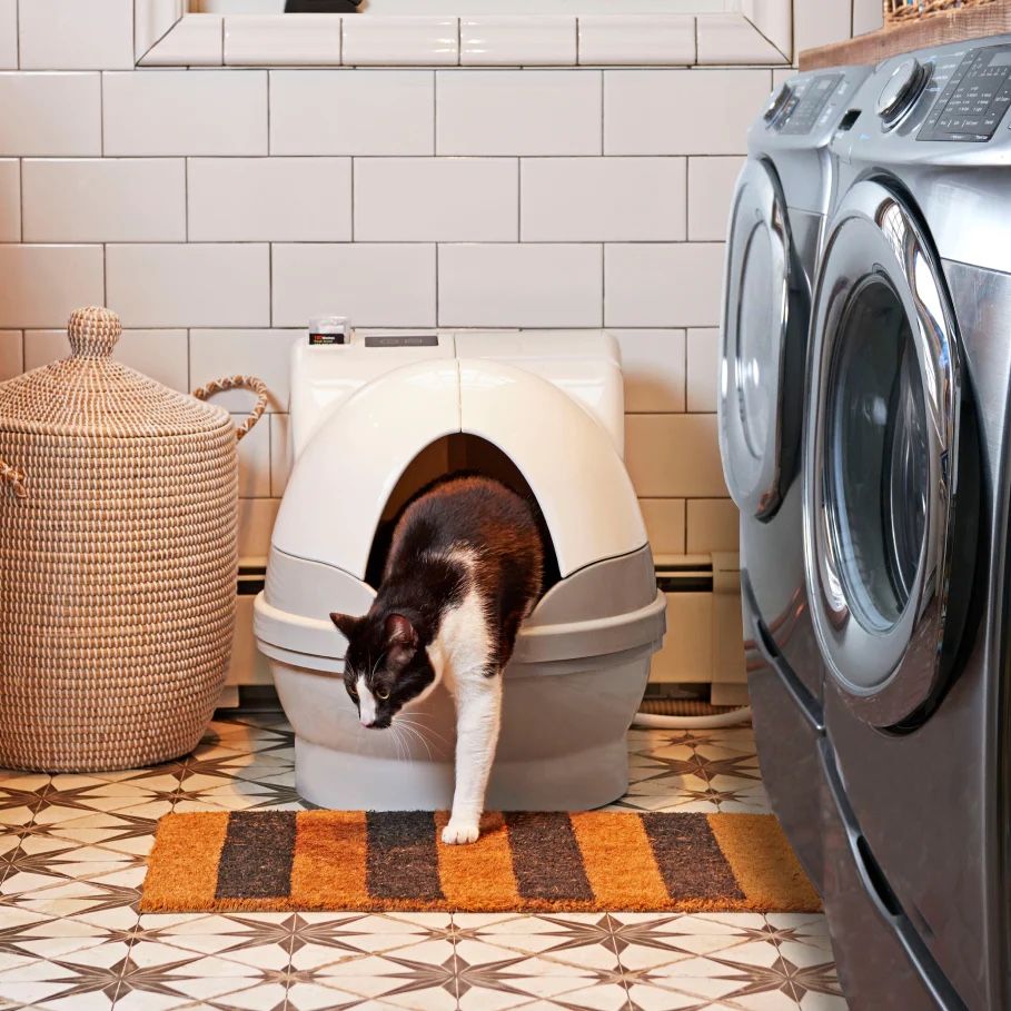 Cat Genie A.I. Catgenie Automated No Mess Kitty Litter Box. (Please Take A Look To All The Pictuctures!)