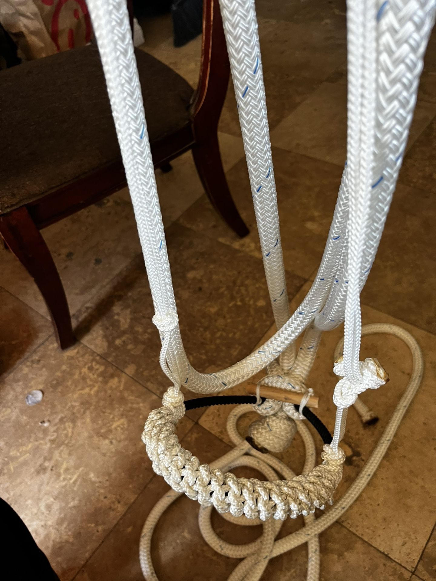 Training Bosal Falsa Rienda