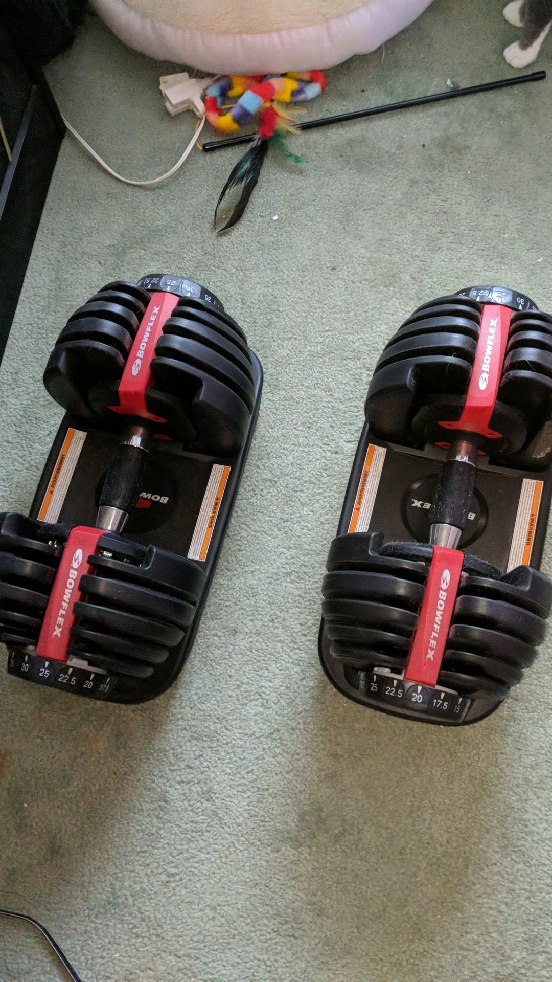 Bowflex dumbbells