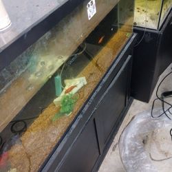 55 G Fish Tank W Stand 