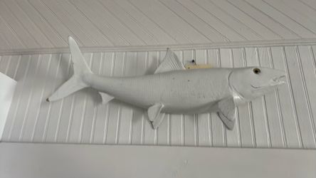 230” bone fish mounted wall hanger fish with tag .