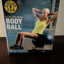 Gold’s Gym Body Ball 