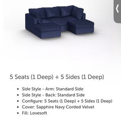 Love sac Barely Used Couch