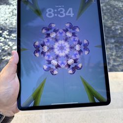 iPad Pro 12.9” 5th Gen · 128GB · WiFi + LTE · Pristine Condition ✨ Unlocked Any Carrier | Hablo Español