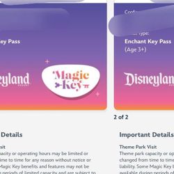 Disney Land Tickets