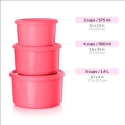 Tupperware Onetouch para Almacenar