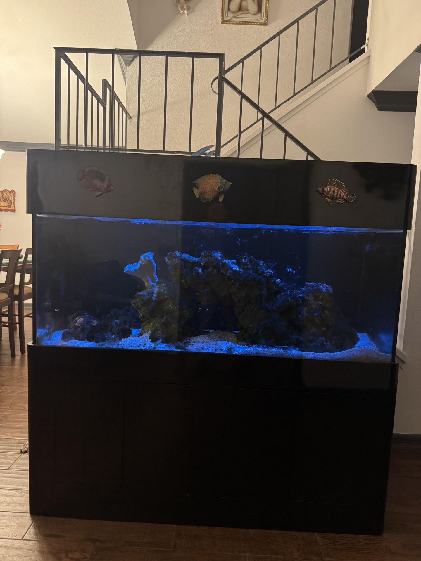 Fish tank with cabinet