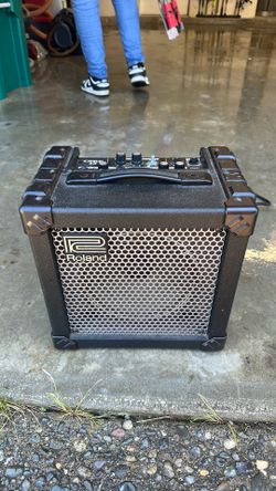 Roland Quitar Speaker