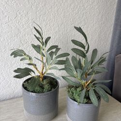 🌿 Set of 2 Faux Plants in Gray Ceramic Pots – Modern Decor