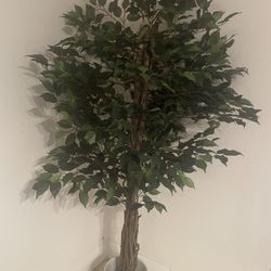 Fake House Plant 