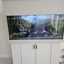 90 Gallon Salt Water Fishtank