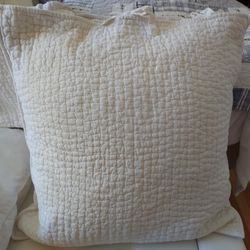 (2) 24x24 Pottery Barn Pillow Case & Pillows