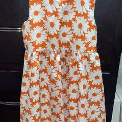 3-4t New Dress