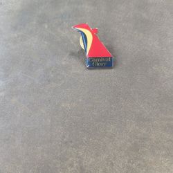 A Wide Variety Of Pins To Wear On Any Occasion