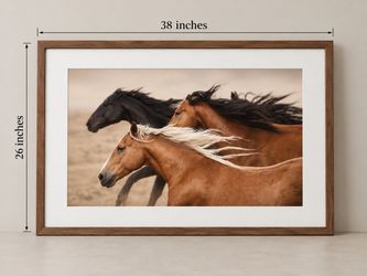 Large Framed Running Horses Wall Art