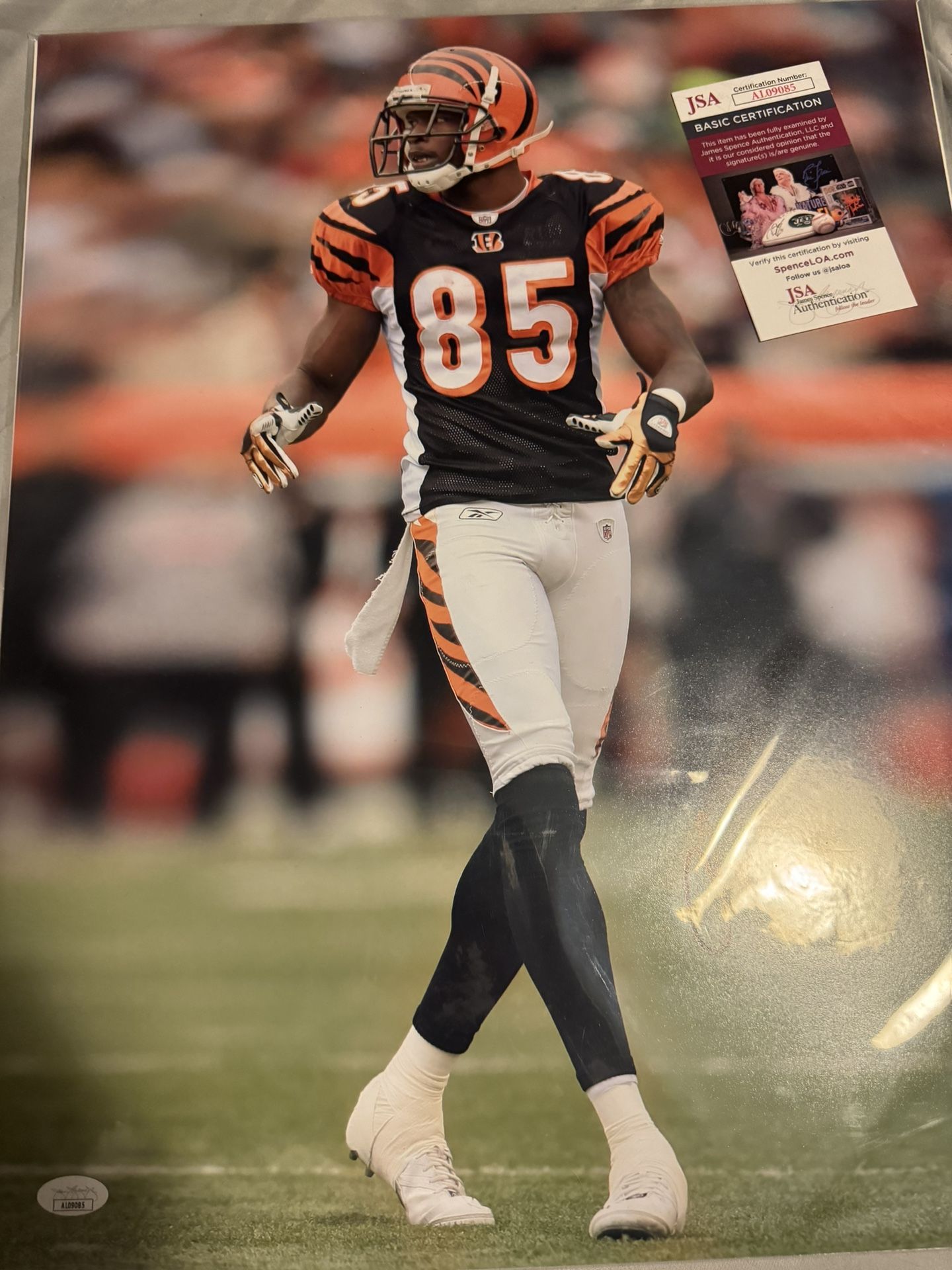 Chad Johnson Signed 16x20 Poster