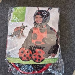 Lady BUG crawler