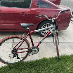 Bicycle