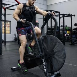 ROGUE ECHO BIKE V3.0