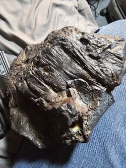Meteorite Rare